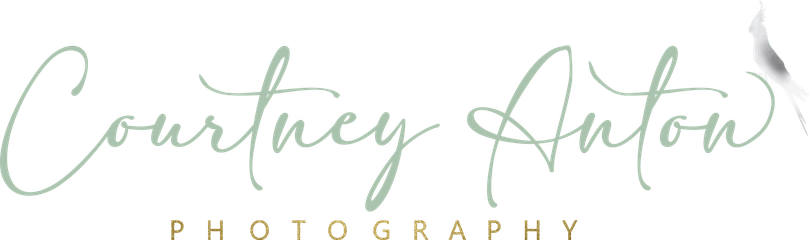 Courtney Anton Photography