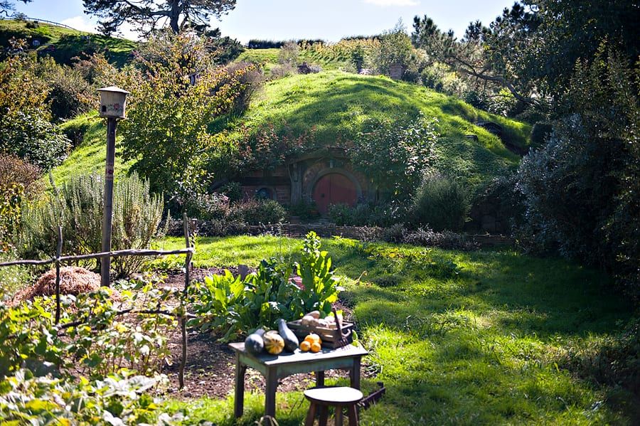 Landscape session — NewZealand015