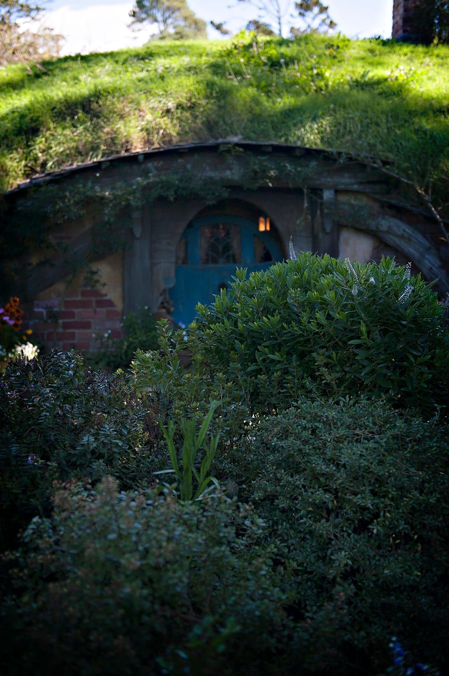 Landscape session — NewZealand016