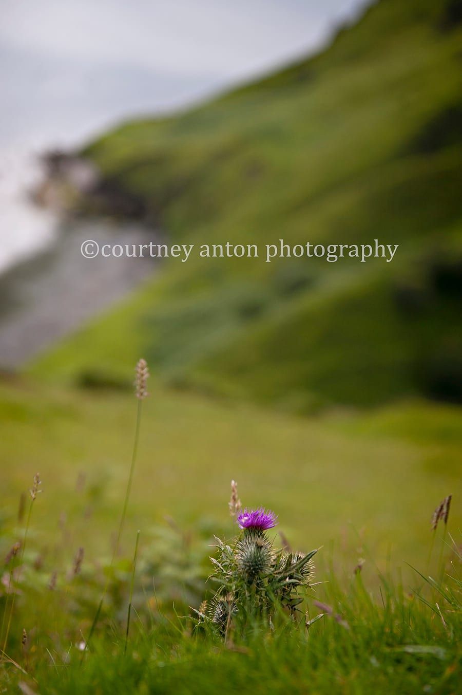 Landscape session — Scotland42